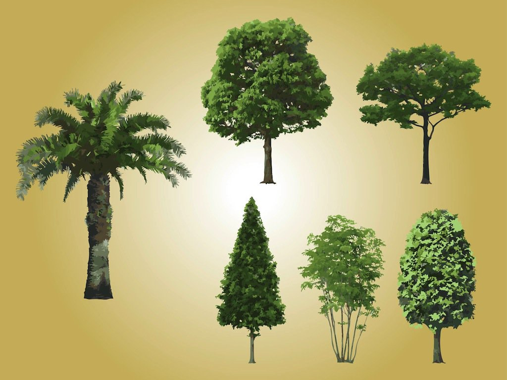 Realistic Tree Vectors ai file