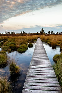 wide angle photo of brown dock under cloudy sky thumbnail