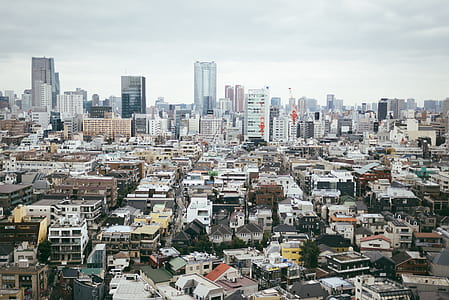city buildings and houses thumbnail