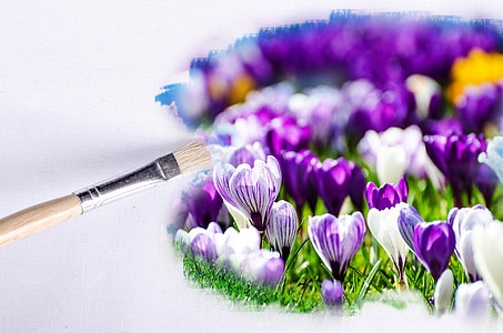 white and purple flowers thumbnail