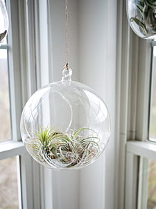 closeup photo of clear glass globe hanging decor thumbnail