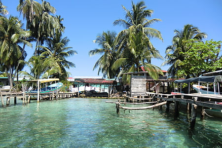 docks on shallow water with coconut trees at daytime thumbnail