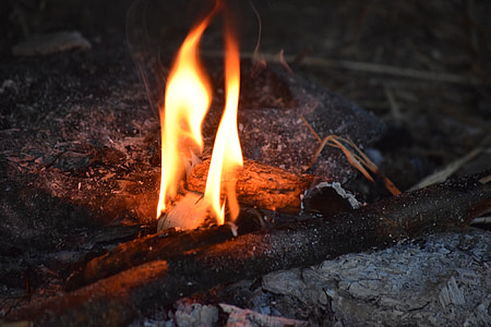 burning wood thumbnail
