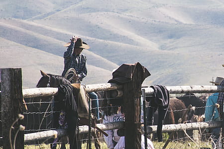 Close-up Photo of Horseman thumbnail