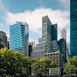 green leafed tress near high-rise buildings under cloudy blue sky thumbnail