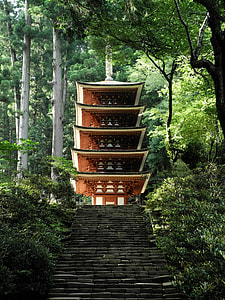stairs behind brown and white padoga temple surrounded with green leaf tall tress at daytime thumbnail