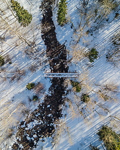 aerial photo of forest during winter thumbnail