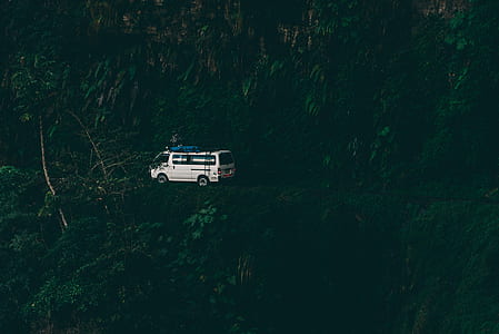 white van on road beside forest thumbnail