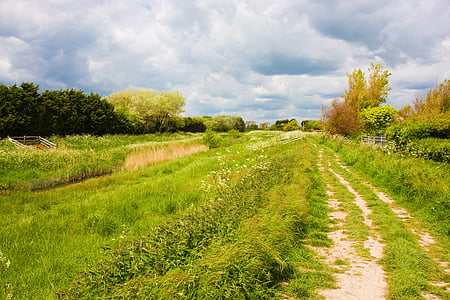 green grass field during daytime thumbnail