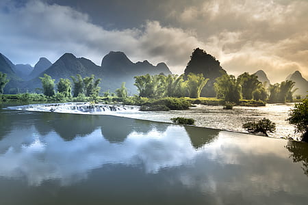 wildlife photography of tall trees and mountain at distance thumbnail