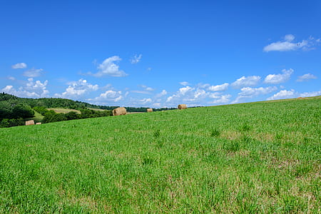 nature, sky, clouds, forest thumbnail