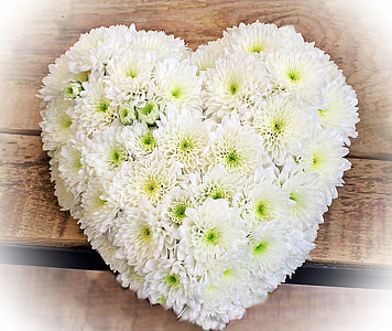 white-and-green heart formed flowers thumbnail
