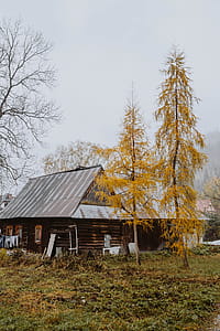 Old wooden houses in the mountains in autumn thumbnail