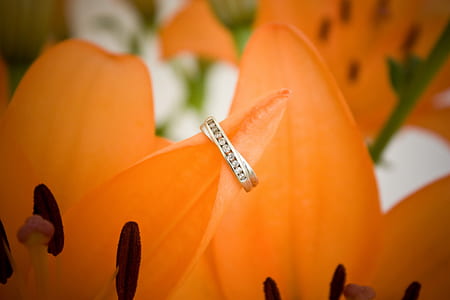 close-up photography of gold-colored bridal ring set in yellow petaled flower thumbnail