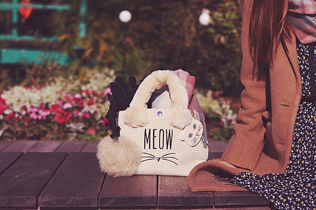 white hand bag with Meow print on brown wooden bench during daytime thumbnail