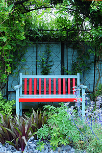white and red wooden Windsor bench under shade of tree thumbnail