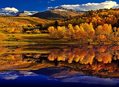 river near forest with yellow trees thumbnail