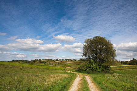 green grass field under white clouds and blue sky thumbnail