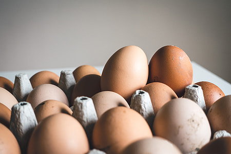 close up photo of chicken eggs thumbnail
