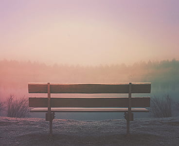 brown bench during golden hour thumbnail