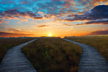green grass between pathway under golden hour thumbnail