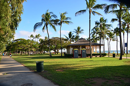 wide angle photo of brown wooden cottage surrounded with coconut trees thumbnail