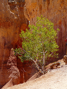 Bryce Canyon, Bryce Canyon National Park thumbnail