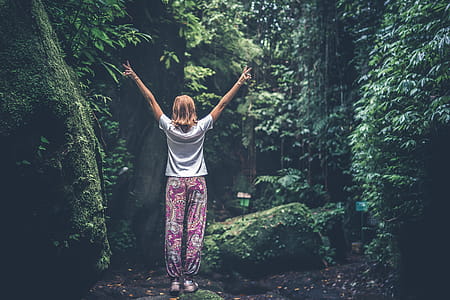 Woman With Raising Arms Facing Pathway Between Forest Trees thumbnail