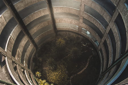 Green Leaves Plants Beside Brown Snake in Barrel thumbnail