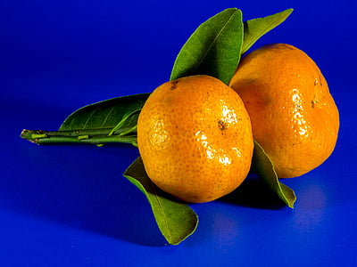 orange fruits thumbnail