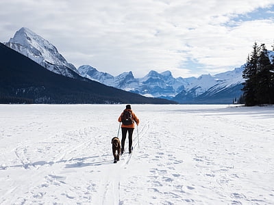 person holding leash with dog walking on snow field during daytime thumbnail