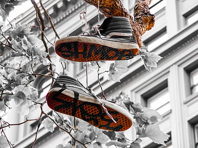 black-and-white Vans Sk8-Hi hanged on tree branch thumbnail