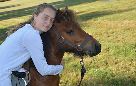 Competition Equestrian, Horseback Riding thumbnail