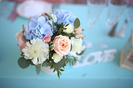 selective focus photography of white scabiosa flower, blue hydrangea flowers, white and pink rose flowers bouquet thumbnail
