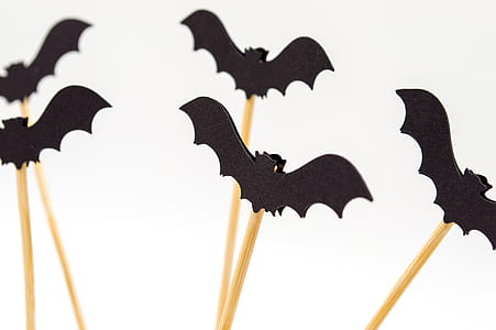 black bat decorations thumbnail