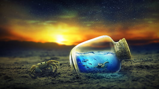 crab beside bottle with sea creatures inside on beach shore thumbnail