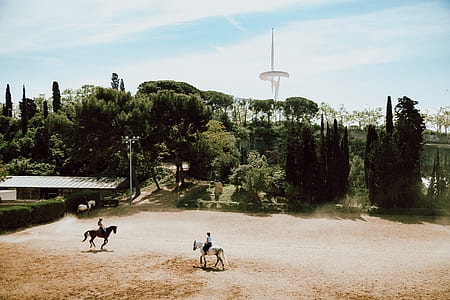 two men riding on white and black horses thumbnail