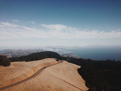 photo of road, trees, and sea thumbnail
