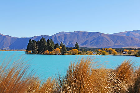 yellow and green leaf trees surrounded by water near mountain under clear blue sky thumbnail