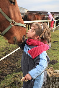 closeup photography of girl near brown horse at ranch during daytime thumbnail