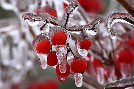 shallow focus photography of glass decor thumbnail