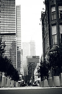 grayscale photography of high-rise buildings thumbnail