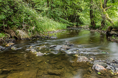 stream of water surround with green trees and grass during daytime thumbnail