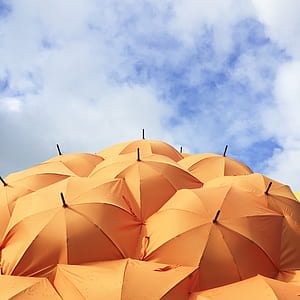 yellow umbrellas opened under cloudy sky thumbnail
