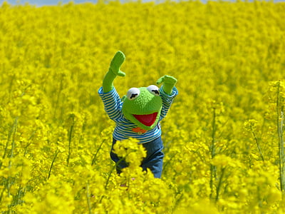Kermit the Frog plush toy thumbnail