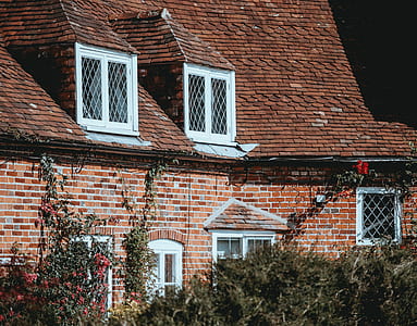 brown concrete house beside plants thumbnail