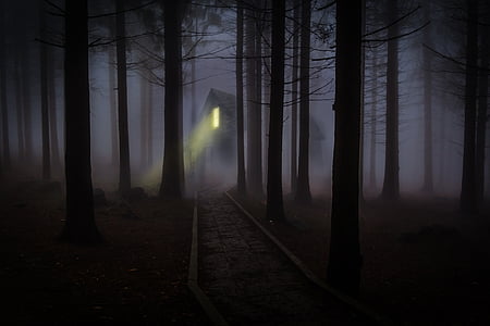 house with light on in the middle of dark forest thumbnail
