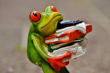 green tree frog carrying books figurine thumbnail
