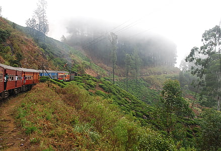 red and blue train travelling near mountain during daytime thumbnail