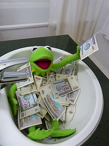 Kermit the frog covered with money thumbnail